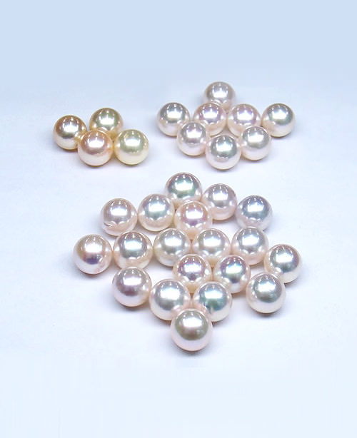 jdl-perles-akoya-page-presentation02 jdl-perles-akoya-page-presentation02